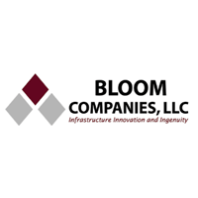 Bloom India Ltd