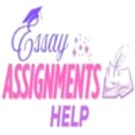 Essay Assignments Help Uk
