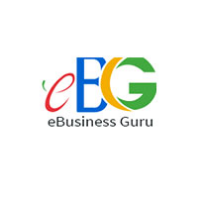 eBusiness Guru