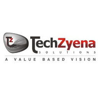 Techzyena Solution Pvt Ltd