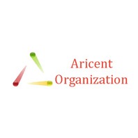 Aricent Organization