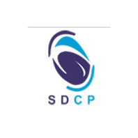 Saudi Delta Company for Power Projects Ltd.