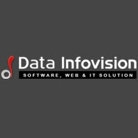 Data Infovision Pvt Ltd