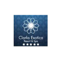 Clarks Exotica