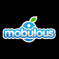 Mobulous Technologies Private Limited