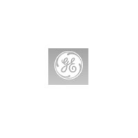 Ge India Industrial Pvt Ltd