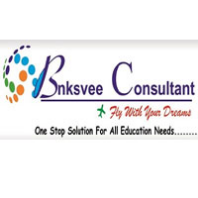 Bnksvee Consulting Agent Pvt Td