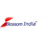 Blossom Hr Services