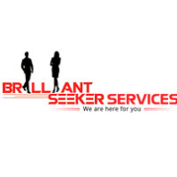 Brilliant Seeker Services