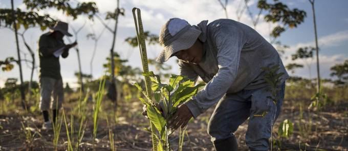 Important Things One Should Know About Carbon Offset!