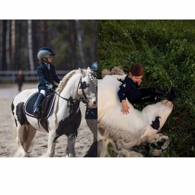 Arizona's Gentle Gallop: Riding High on Ekaterina's Largest Shire