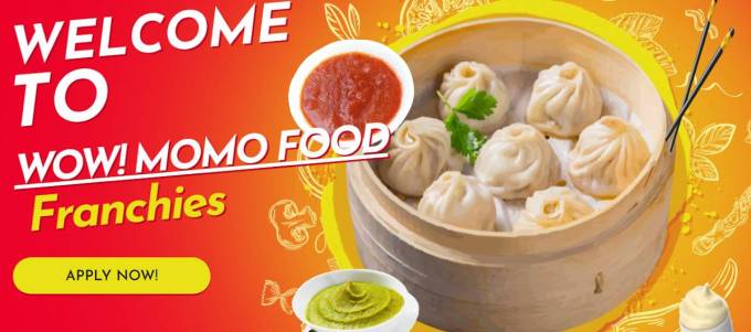 Unveiling the Profit Margins of Wow Momo Franchise in India