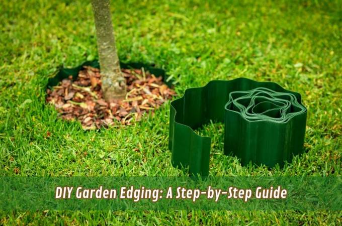 DIY Garden Edging: A Step-by-Step Guide