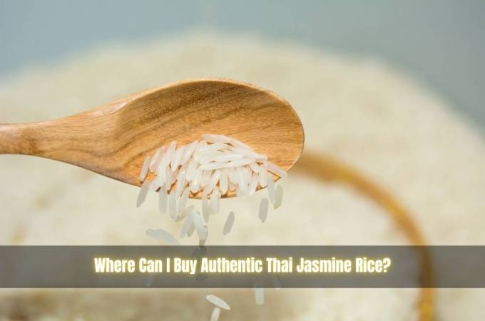 Where Can I Buy Authentic Thai Jasmine Rice?