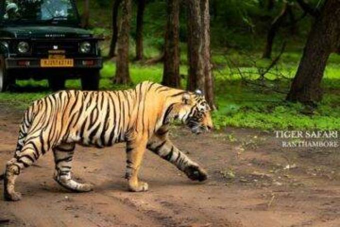 Discover the Magic of India with Hello India Tour Europe’s Exceptional Guided Tours