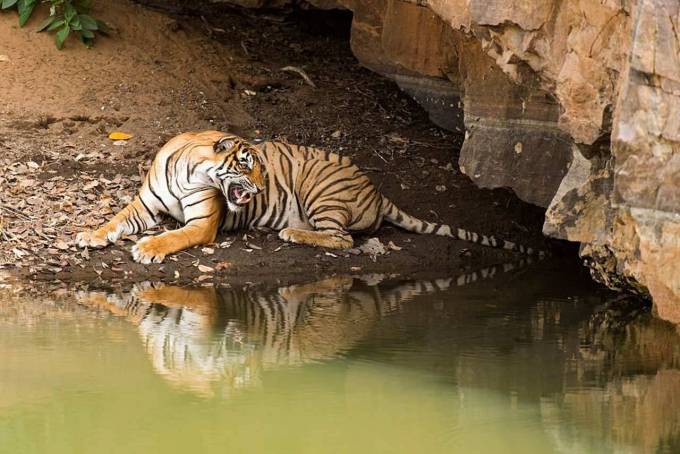 Explore India’s Golden Triangle with Delhi Agra Jaipur Tours by Hello India Tour