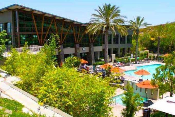 The Ultimate Guide to Keeping Your Synthetic Lawn Fresh and Spotless