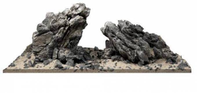 Transform Your Aquatic World with Premium Supplies from Dalua International LLC